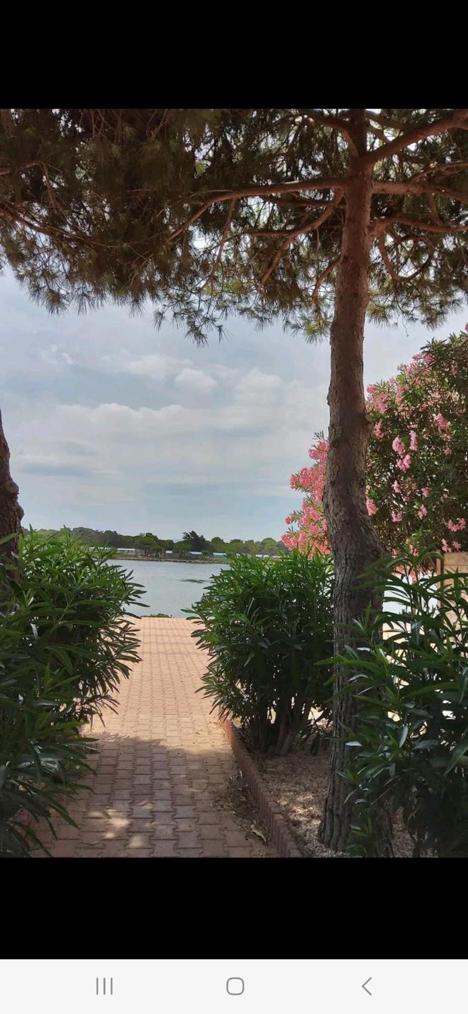 Villa 6P Piscine Spa Privatif Wifi Proche Des Plages Le Barcarès Dış mekan fotoğraf